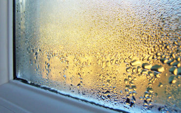 Condensation on Window Glass and Frame