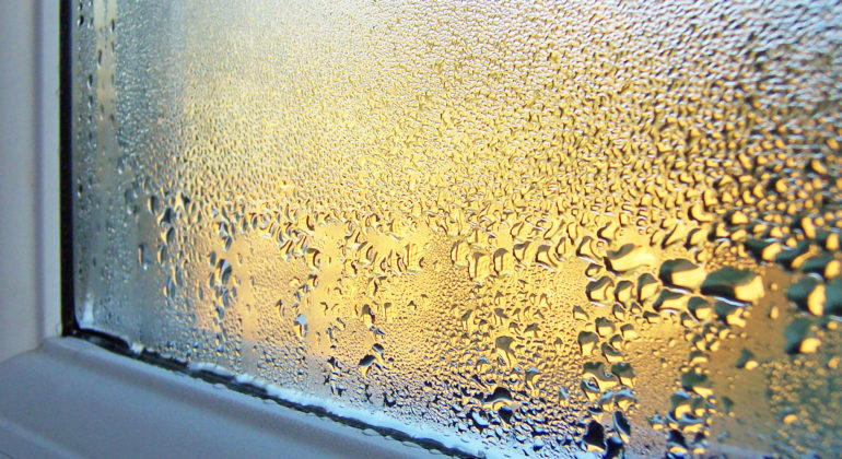 Condensation on Window Glass and Frame