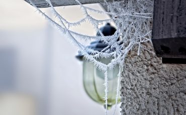 An image of a frozen cobweb outside a home as the main image for the Jameson and Partners estate agents blog post 'Top care tips for your home this winter'